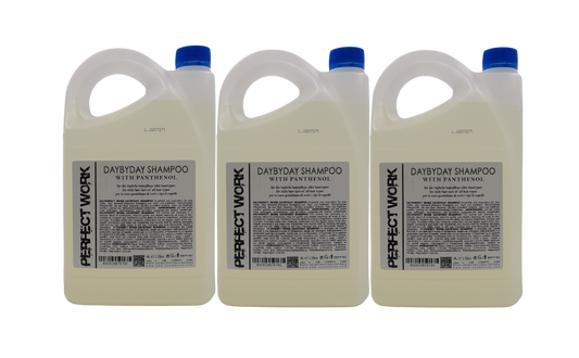 PERFECTWORK Day by day Shampoo mit Panthenol 4000ml Kanister